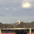 18_30-mast.jpg