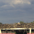 18_45-mast.jpg