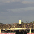 19_05-mast.jpg