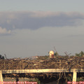 19_40-mast.jpg
