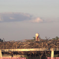 20_05-mast.jpg