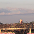 20_15-mast.jpg