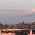 20_25-mast.jpg