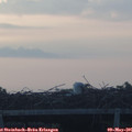 05_55-mast.jpg