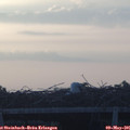 06_00-mast.jpg