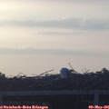 06_05-mast.jpg