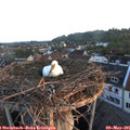 06_05-nest.jpg