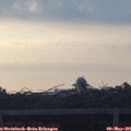 06_15-mast.jpg