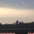 06_20-mast.jpg