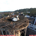 06_20-nest.jpg