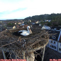 06_35-nest.jpg