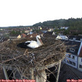 06_40-nest.jpg