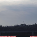 06_50-mast.jpg