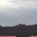 06_55-mast.jpg