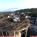 06_55-nest.jpg