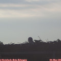 07_00-mast.jpg