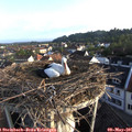 07_00-nest.jpg
