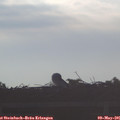 07_05-mast.jpg