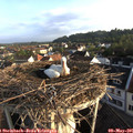 07_05-nest.jpg