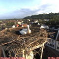 07_10-nest.jpg