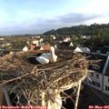 07_15-nest.jpg