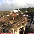 07_30-nest.jpg