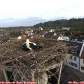 07_45-nest.jpg