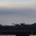 07_50-mast.jpg