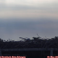 08_00-mast.jpg