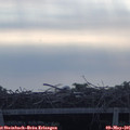 08_05-mast.jpg