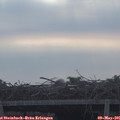08_10-mast.jpg