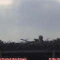 08_40-mast.jpg