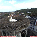 08_40-nest.jpg