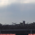 08_45-mast.jpg