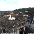 08_45-nest.jpg