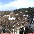 08_55-nest.jpg