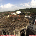 09_05-nest.jpg