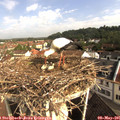 09_10-nest.jpg