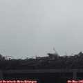 09_55-mast.jpg