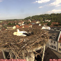 09_55-nest.jpg