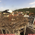 10_00-nest.jpg