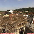 10_05-nest.jpg