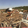 11_35-nest.jpg