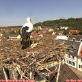 11_40-nest.jpg