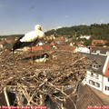 12_40-nest.jpg