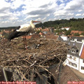 14_40-nest.jpg
