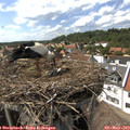 15_35-nest.jpg