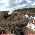 15_40-nest.jpg