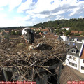 16_15-nest.jpg