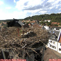 16_20-nest.jpg